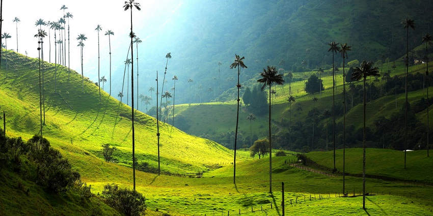 Discover wax palms, coffee farms, and stunning hikes for a perfect Valentine’s escape