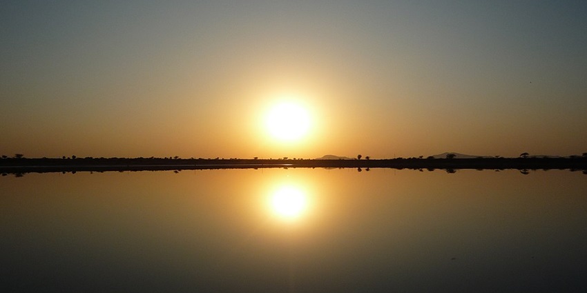 An image of Sambhar Lake in Rajasthan at sunset with golden hues, salt flats and a horizon