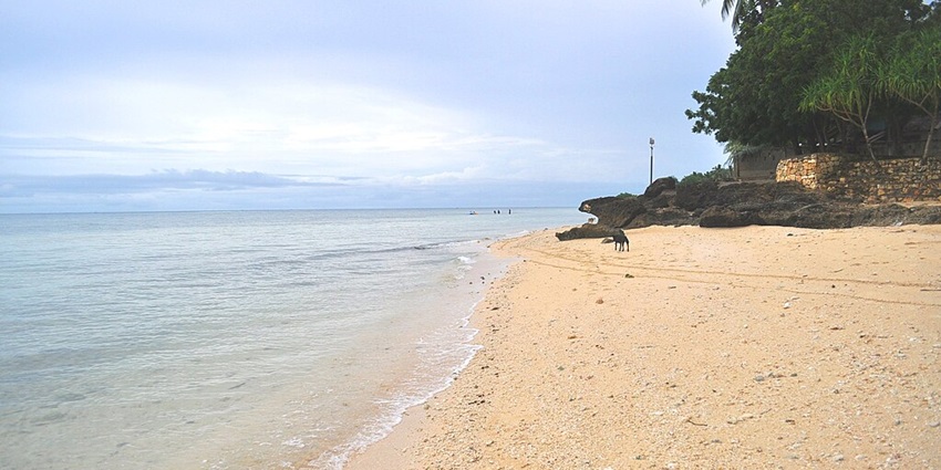 The San Remigio beach is famous for having the longest coastline in the province, compared to other Cebu beaches.