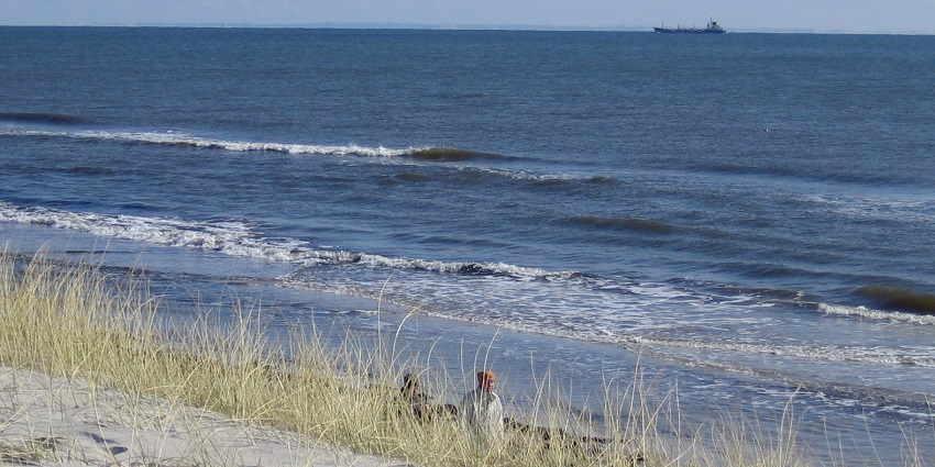 An image showing a view of the Sandhammaren beach, one of the best beaches in Sweden.