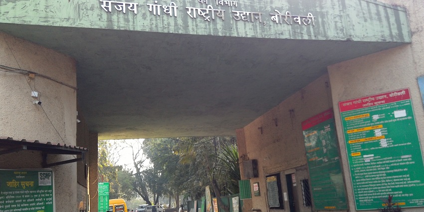 A picture of Sanjay Gandhi National Park which is one of the top places to visit near Bandra.