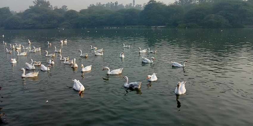 Beautiful sunsets at Sanjay Lake are a treat to the eyes.