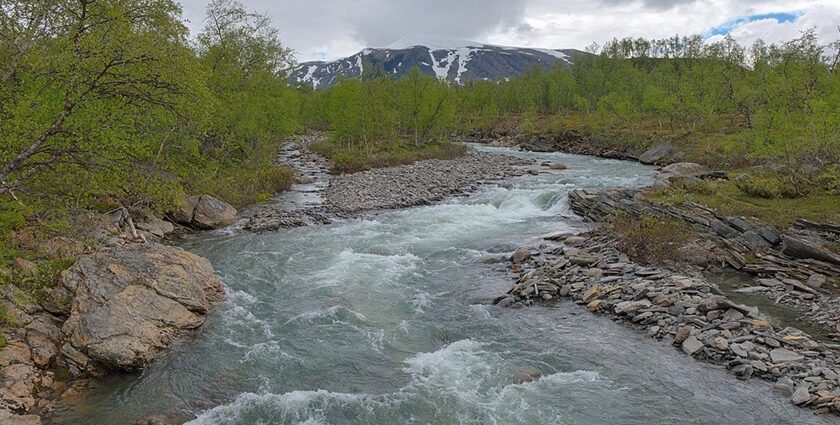 An image showing a view of the Sarek National Park, a famous tourist destination in Sweden.