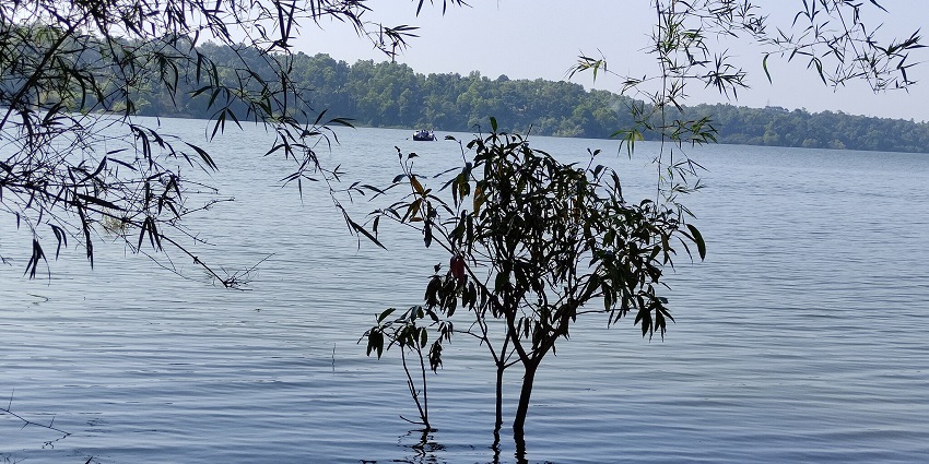 An image of the pristine Sasthamkotta Lake surrounded by lush green forests.