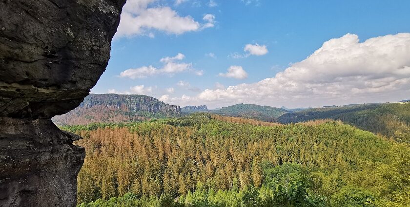 An image of Saxon Switzerland National Park, a famous place to visit in Germany.