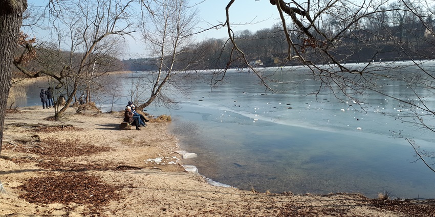 An image showing Zehlendorf Schlachtensee in winter, offering a peaceful and icy landscape
