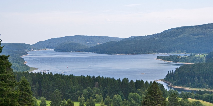 An image of Schluchsee Lake one of the best lakes in Germany surrounded by lush greenery