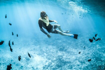 Scuba diver witnessing the serene view of the underwater marine life