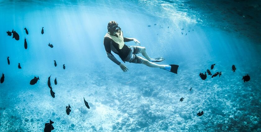 Scuba diver witnessing the serene view of the underwater marine life