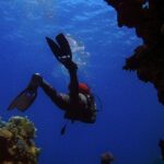 Scuba Diving in Philippines reveals vibrant reefs and marine life.