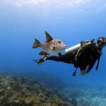 Scuba diving in Cuba unveils vibrant coral reefs, diverse marine life, and crystal-clear Caribbean waters