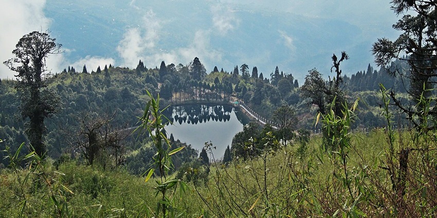 Small lake in Darjeeling surrounded by greenery and reflecting trees on its waterbody