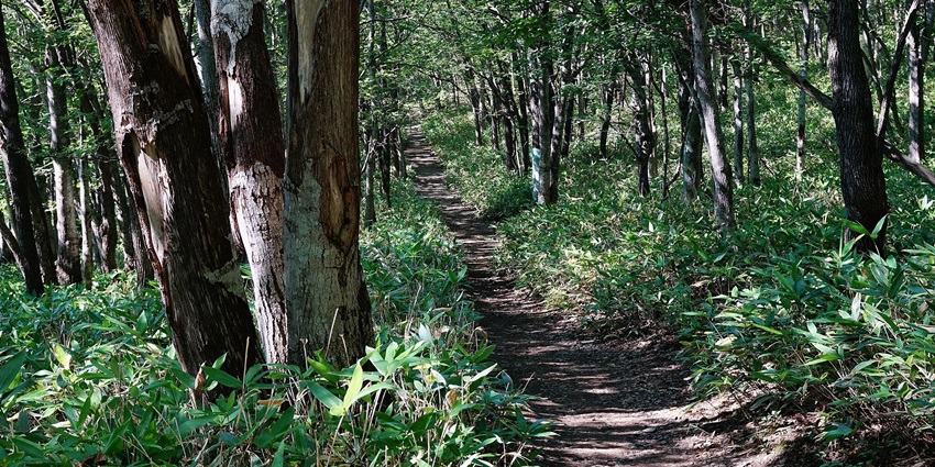 Explore scenic trails through forests, mountains, and coastal areas.