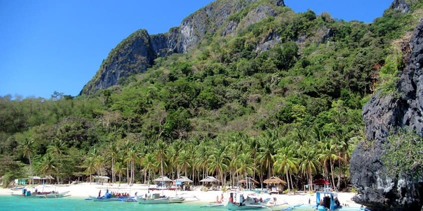 Scenic beach with lush palms and azure sea waters.