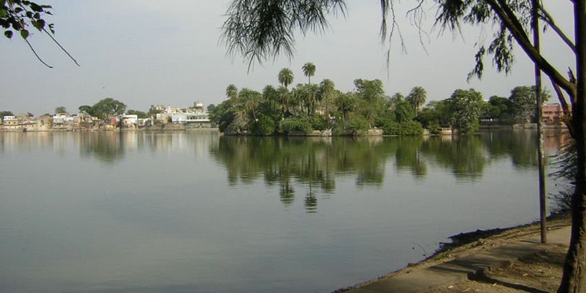 Shahpura Lake with a large greenish water body, palm trees at a distance and buildings