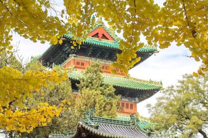 experience the origination of kung fu and zen buddhism at the shaolin temple in china