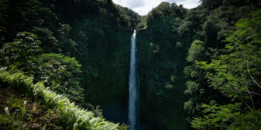 The gorgeous waterfall, named Shikhar Falls, with its lush greenery.