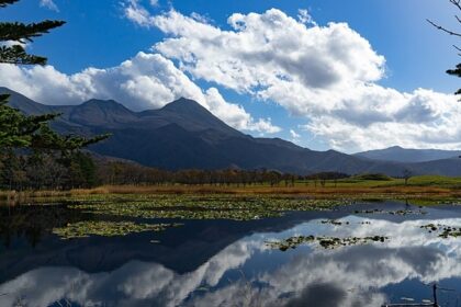 Shiretoko National Park showcases Japan’s untouched wilderness with diverse wildlife.