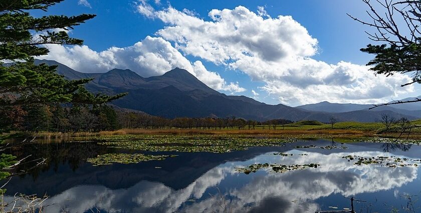 Shiretoko National Park showcases Japan’s untouched wilderness with diverse wildlife.