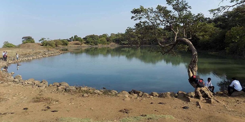 Lake with a couple of people sitting beside a tree and green trees in the background