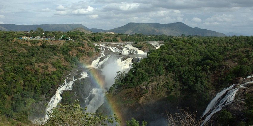 An image of the Shivanasamudra Falls in South India which is surrounded by dense green forest
