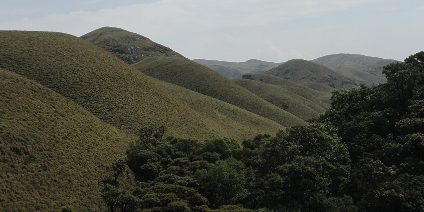 An image of Silent Valley, capturing its untouched rainforest, misty hills, and peaks