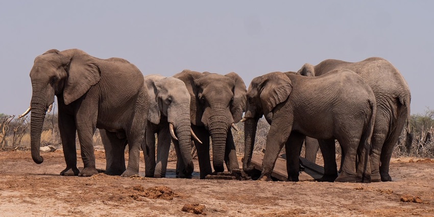 An image resembling the Sileru Wildlife Sanctuary, a tourist attraction near Sileru Waterfalls.