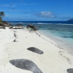 A view of a tropical heaven in Seychelles featuring golden beaches and azure waters.