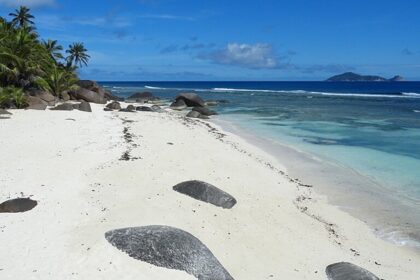 A view of a tropical heaven in Seychelles featuring golden beaches and azure waters.