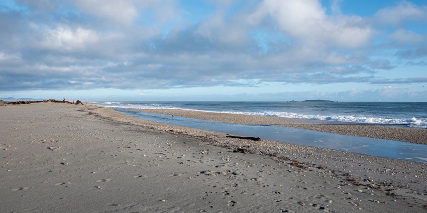 Peaceful shoreline with scenic cliffs and abundant wildlife spotting opportunities.