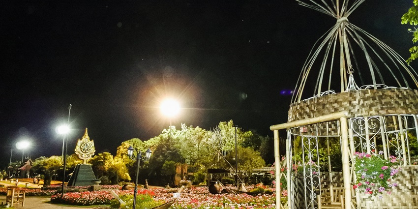 Enjoy Cebu City nightlife at the Sirao garden filled with vibrant flowers and scenic landscapes.