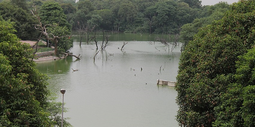 A serene view of one of the lakes in Delhi, surrounded by trees and offering a peaceful boating experience.