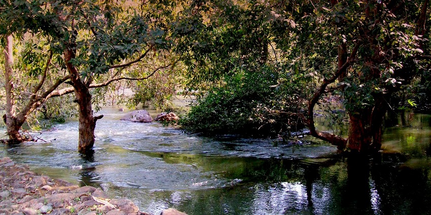 Discover wildlife, lush forests, and guided tours at Sita Mata Sanctuary in Rajasthan.