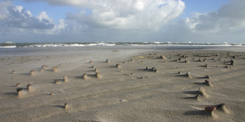 An image of Skagen Beach in Denmark with a wide coastline and where two seas meet .