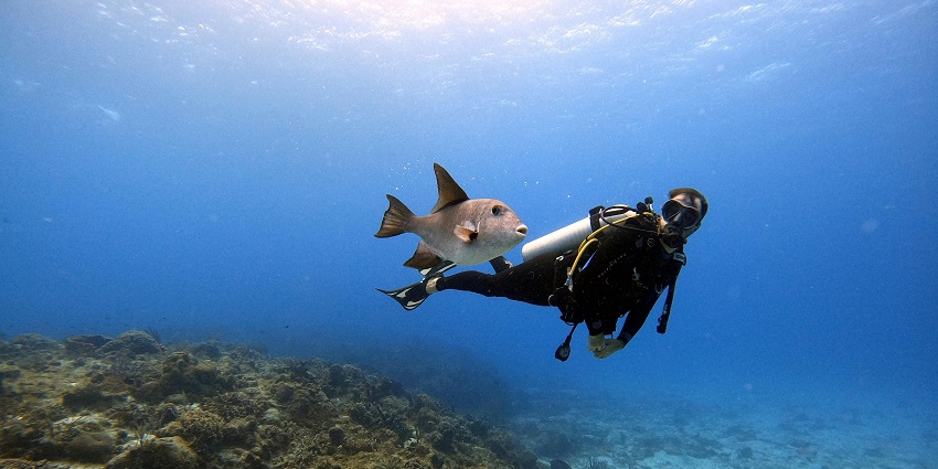 Explore vibrant coral reefs, swim with marine life, and discover underwater wonders in crystal-clear waters.