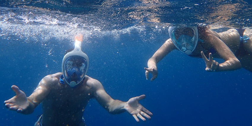 Discover vibrant marine life, crystal-clear waters, and beautiful coral reefs in Puducherry.