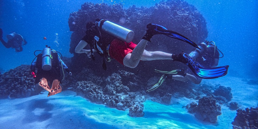 Image of people exploring vibrant underwater ecosystems in clear, warm tropical waters