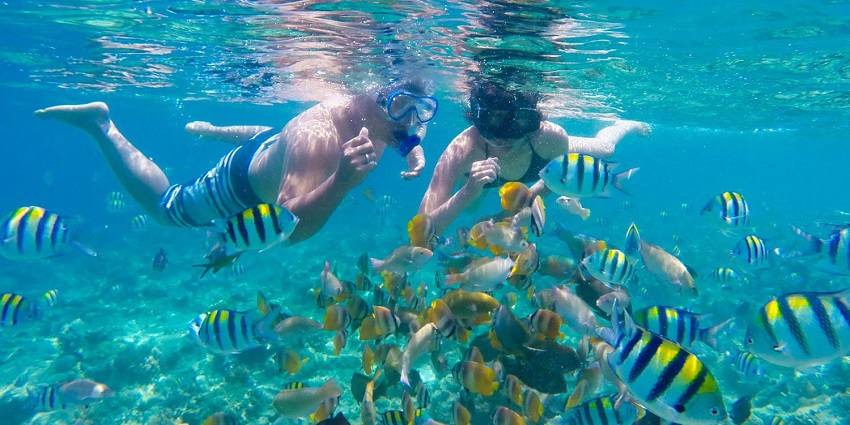 Once-in-a-lifetime experience of snorkeling in Andaman, a watersport in India