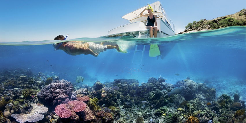 Unforgettable underwater adventure exploring vibrant coral reefs, swimming with sea turtles, and encountering exotic fish species.