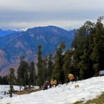 An image of Dayara Bugyal Trek, one of the best places for snow trekking in India.