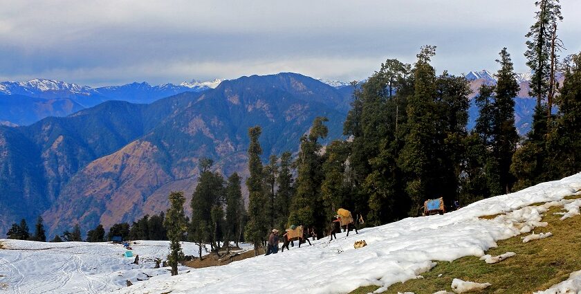 An image of Dayara Bugyal Trek, one of the best places for snow trekking in India.