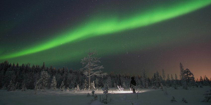 Celebrate Russian New Year by witnessing the vibrant and mesmerizing Northern Lights in Murmansk