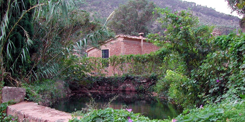Covered stone washing pool (safareig) nestled amid greenery in Deià, Mallorca