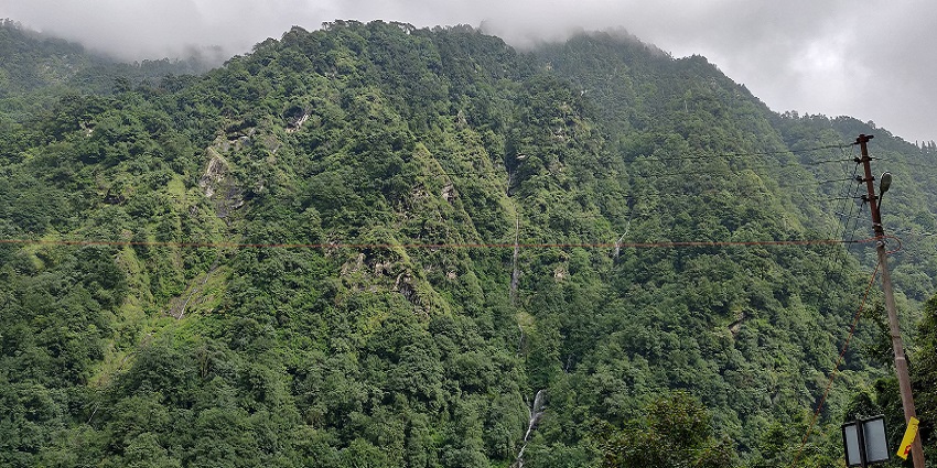 Scenic image of the lush green forest surrounded by the hills of Himalaya