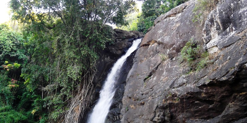The flowing clean water of majestic Soochipara Waterfalls near Heart shaped Lake in Kerala
