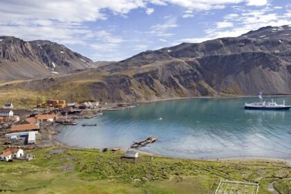 Remote South Georgia Island featuring glaciers, mountains, and abundant marine wildlife