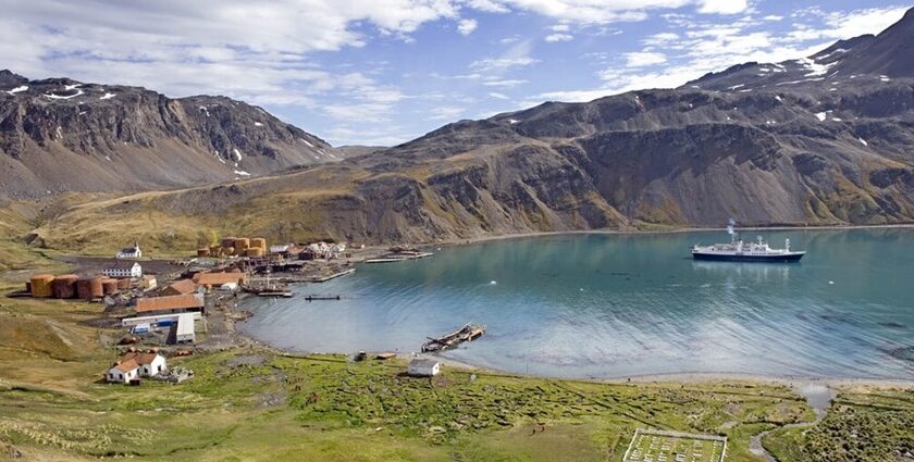 Remote South Georgia Island featuring glaciers, mountains, and abundant marine wildlife