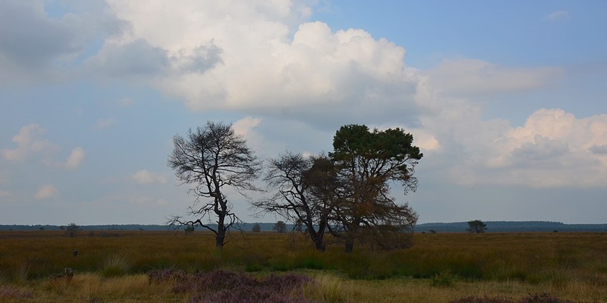 Scenic park with diverse wildlife, forests, and cycling paths.