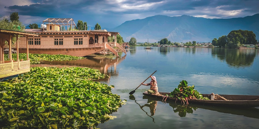 Dal Lake in Srinagar against a picturesque evening view and illuminated with yellow hues.