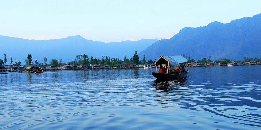 Colourful shikaras amidst the foggy atmosphere and alpine forest in Dal Lake Srinagar.